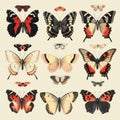 Butterflies Collection in Retro Illustration Style, Vintage Americana, Butterflies Set Royalty Free Stock Photo