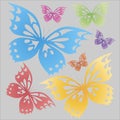 Butterflies colorful on the gray background. T-shirt print