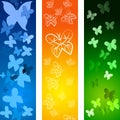 Butterflies Copyspace Indicates Blank Flying And Backdrop