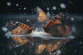 butterflies crawling on the frozen surface of a pond, with snowflakes falling down Royalty Free Stock Photo