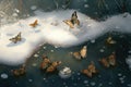 butterflies crawling on the frozen surface of a pond, with snowflakes falling down Royalty Free Stock Photo