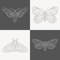 Butterflies design elements