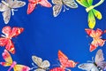 Butterflies and dragonflies frame for design, on blue sky background. Royalty Free Stock Photo