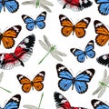 Butterflies and dragonflies seamless pattern, vector background. Bright multicolored insects on a white backdrop. For fabric desig