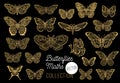 Butterflies drawing vector set, isolated, sketch style collection insert wings emblem Royalty Free Stock Photo