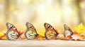 Butterflies and dry yellow maple leaves, autumn landscape Royalty Free Stock Photo