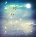 Butterflies in a fantasy moonligt landscape