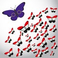 Butterflies with the flag of Syria and EU