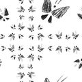 Butterflies flight