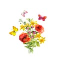 Butterflies with flower. Floral bouquet - poppies, summer flowers. Watercolor Royalty Free Stock Photo