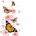 Butterflies Flower Floral Summer Spring Frame Background Royalty Free Stock Photo