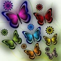 Butterflies and flowers