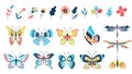 Butterflies and flowers. Isolated branch, flower and butterfly. Dragonfly, flying insects and natural elements. Summer