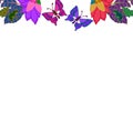 Hand Inked Flowers Butterflies And Frog On A Letterhead Illustration