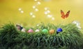 Butterflies flutter on festive Easter background with multicolored eggs in green grass in Sunny clear spring day
