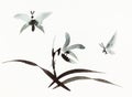 Butterflies fly over flower drawn in sumi-e style