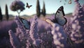 Butterflies flying over lavender flowers. 3d illustration. Royalty Free Stock Photo