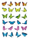 Butterflies flying set on white background