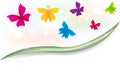 Butterflies garden cover logo template vector image