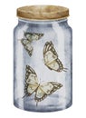 Butterflies In A Glass Jar. Watercolor Illustration Of Caught Insects With Brown Wings In A Bottle. Hand Drawn Clip Art