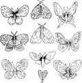 Butterflies hand insects nature animals graphic line engraving set isolated on white background