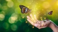 Butterflies are in the hands of girls with glittering lights sweet encounter between a human hand butterfly Royalty Free Stock Photo