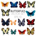 Butterflies illustration set