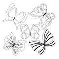 1345 butterflies, image of butterflies in black and white, vector illustration, isolate on a white background