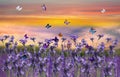 butterflies  and lavender on sunset field flowers at sunset  meadow chamomile in the grass at field summer blue sky with fluffy w Royalty Free Stock Photo