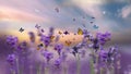 Butterflies  Flowers  Field Flowers At Sunset  Meadow Chamomile  And Lavender  In The Grass At Field Sunset Summer Blue Sky With F
