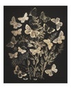 Butterflies And Moths Fluttering Over Flowers Vintage Illustration Wall Art Print And Poster Design Remix From Original Artwork