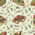 Butterflies. Moths. Hand drawn doodle moth vector seamless pattern. Royalty Free Stock Photo