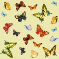 Butterflies pattern1 Royalty Free Stock Photo
