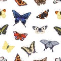 Butterflies pattern. Seamless repeating print, moths background. Spring tropical winged insects flies, texture design Royalty Free Stock Photo