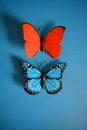 Butterflies red and blue decorative Royalty Free Stock Photo