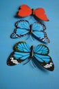 Butterflies red and blue decorative Royalty Free Stock Photo