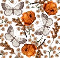 Butterflies. Roses. Beautiful background. Royalty Free Stock Photo