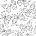 Butterflies. Seamless pattern, background. Outline hand drawing