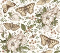 Butterflies seamless pattern insect Dogrose Rosehip Beautiful floral Flowers realistic Engraving drawing Vector Illustration moths Royalty Free Stock Photo