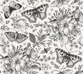 Butterflies seamless pattern insect Dogrose Rosehip Beautiful floral Flowers realistic Engraving drawing Vector Illustration moths Royalty Free Stock Photo