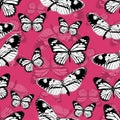 Butterflies seamless pattern, monochrome vector background. Black and white various insects on a pink backdrop. For fabric design,