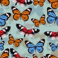 Butterflies seamless pattern, vector background. Bright multicolored insects on a gray green backdrop. For fabric design, wallpape