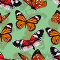 Butterflies seamless pattern, vector background. Bright multicolored insects on a green backdrop. For fabric design, wallpapers, w Royalty Free Stock Photo