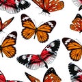Butterflies seamless pattern, vector background. Bright multicolored insects on a white backdrop. For fabric design, wallpapers, w