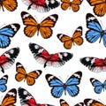 Butterflies seamless pattern, vector background. Bright multicolored insects on a white backdrop. For fabric design, wallpapers, w Royalty Free Stock Photo