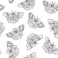Butterflies seamless vector pattern. Butterfly coloring background black line art butterflies on white. Monochrome hand drawn