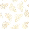 Butterflies seamless vector pattern gold metallic foil effect. Butterfly golden background line art butterflies on white