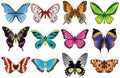 Butterflies set Royalty Free Stock Photo