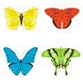 Butterflies set