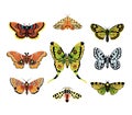 Butterflies, set of hand drawn collection on isolated white background. Royalty Free Stock Photo